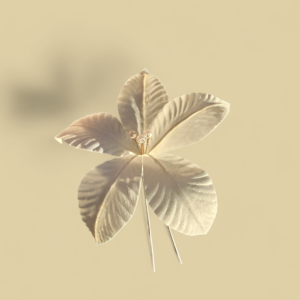 Spinka